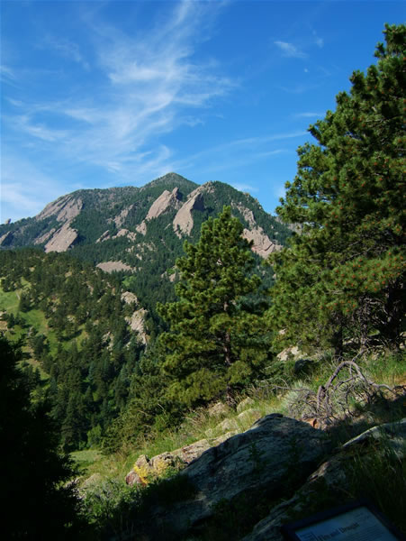 Bear Peak