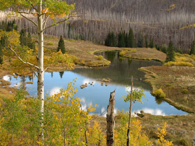 Near Trappers Lake in the Flat Tops Wilderness.